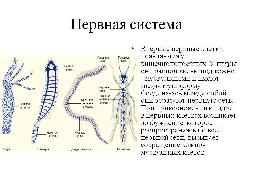 Регистрация на кракен